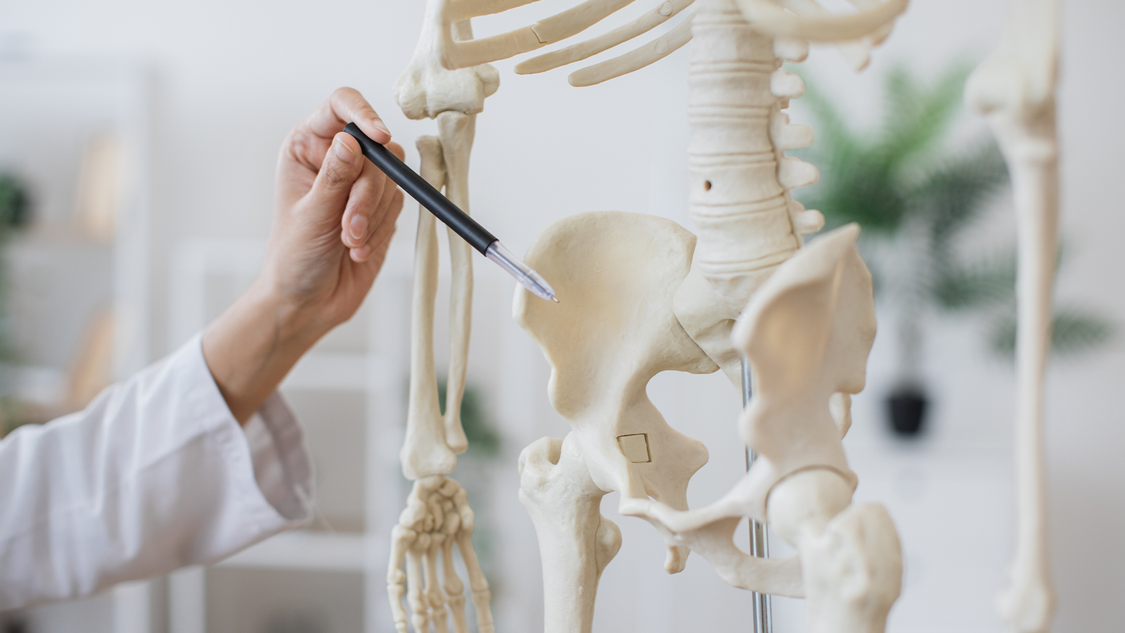 Pelvic Floor Physiotherapy